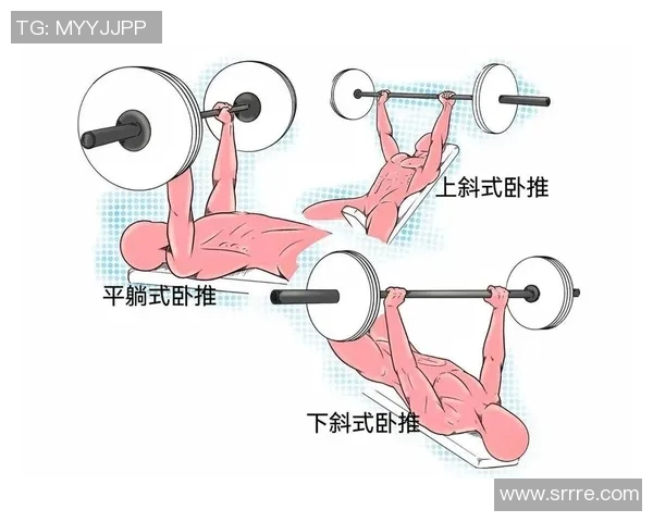 下斜哑铃卧推的正确姿势与技巧解析助你提升训练效果