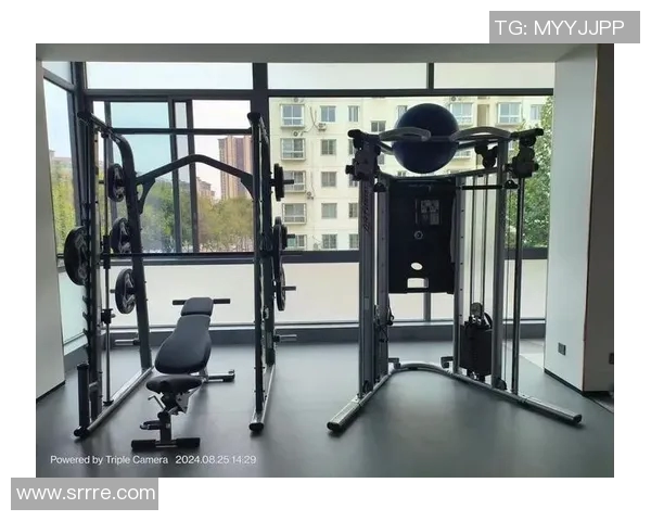 全面解析室内健身器材种类与选择指南助你打造完美家庭健身房