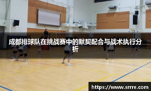 成都排球队在挑战赛中的默契配合与战术执行分析